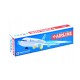 Lėktuvo Airbus A380 modelis su šviesa ir garsu