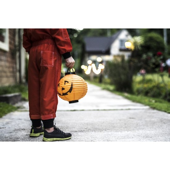 LED HALLOWEEN  moliūgas