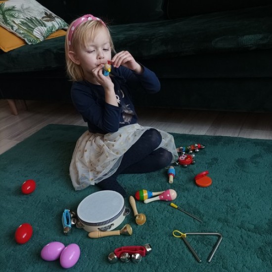 Muzikinių instrumentų rinkinys  su kuprine