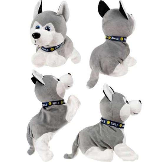 Interaktyvus minkštas Šuniukas, Husky