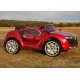 Elektromobilis vaikams ROADSTER EXCLUSIVE Lakuotas QLS8188