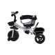 Vaikiškas triratukas Funfit Kids Twist