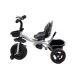 Vaikiškas triratukas Funfit Kids Twist