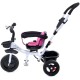Vaikiškas triratukas Funfit Kids Twist Rose