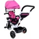Vaikiškas triratukas Funfit Kids Twist Rose