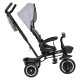 Vaikiškas triratukas Funfit Kids Zippy, Grey