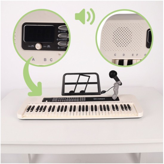 Vaikiškas pianinas 61 klavišų su mikrofonu, USB, LED