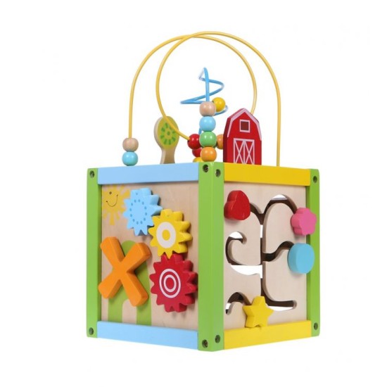 Ergoterapinis medinis lavinamasis kubas - labirintas ECO TOYS 5in1