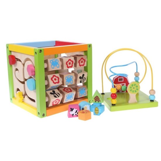 Ergoterapinis medinis lavinamasis kubas - labirintas ECO TOYS 5in1