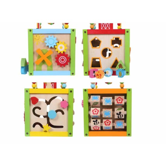 Ergoterapinis medinis lavinamasis kubas - labirintas ECO TOYS 5in1