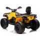 Elektrinis keturratis Quad Can Am Outlander 4x4 800W DK-CA005, geltonas