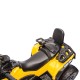 Elektrinis keturratis Quad Can Am Outlander 4x4 800W DK-CA005, geltonas