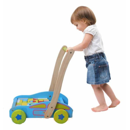 Ekologiškas medinis mėlynas ECO TOYS stumdukas su 40 kaladėlių