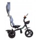 Vaikiškas triratukas Ecotoys JEANS