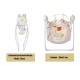 Elektroninės kūdikio sūpuoklės Eco toys - Babycare