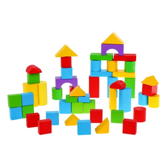 Lavinamosios medinės kaladėlės 50 vnt. Colour Bois