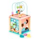 Ergoterapinis medinis lavinamasis kubas - labirintas ECO TOYS DINO 5in1 