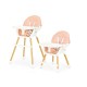 Maitinimo kėdutė Ecotoys Rose New 2in1