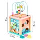 Ergoterapinis medinis lavinamasis kubas - labirintas ECO TOYS DINO 5in1 