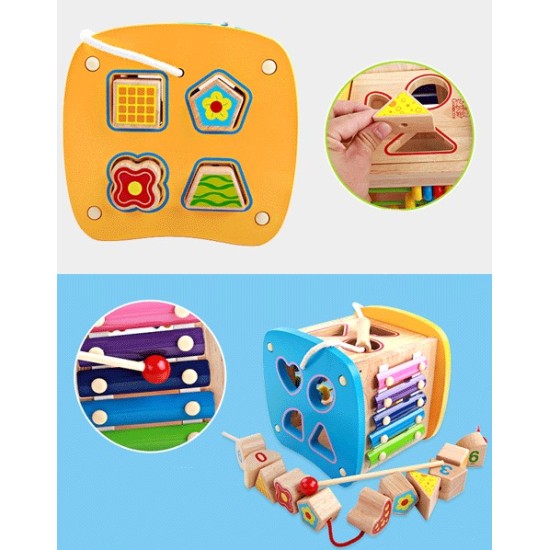 Edukacinis medinis galvosūkis - kubas 4in1