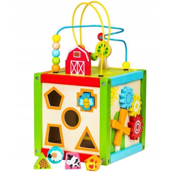 Ergoterapinis medinis lavinamasis kubas - labirintas ECO TOYS 5*1