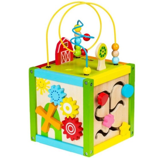 Ergoterapinis medinis lavinamasis kubas - labirintas ECO TOYS 5*1