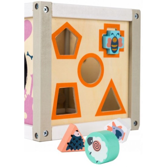 Ergoterapinis medinis lavinamasis kubas - labirintas ECO TOYS 5*1