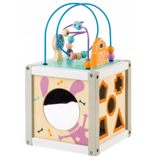Ergoterapinis medinis lavinamasis kubas - labirintas ECO TOYS 5*1