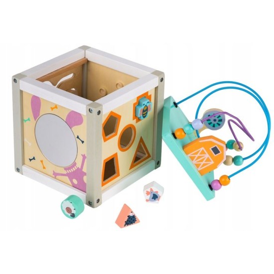Ergoterapinis medinis lavinamasis kubas - labirintas ECO TOYS 5*1