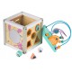 Ergoterapinis medinis lavinamasis kubas - labirintas ECO TOYS 5*1