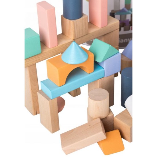 Lavinamosios medinės kaladėlės 100 vnt. Eco toys