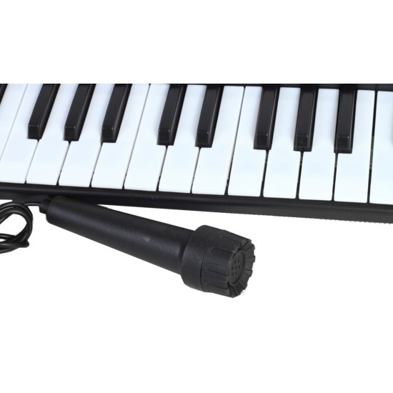 Pianinas sintezatorius su mikrofonu MS