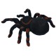 Didelis voras su pultu "Tarantulas"