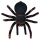 Didelis voras su pultu "Tarantulas"