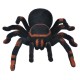 Didelis voras su pultu "Tarantulas"