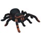 Didelis voras su pultu "Tarantulas"
