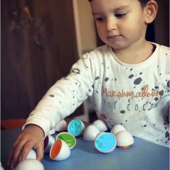 Montessori Edukacinis žaidimas - dėlionė kiaušiniai, 12 vnt.